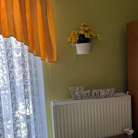 Elli *