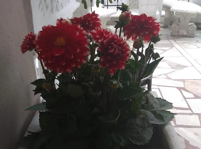 Elli With Free Private Parking *