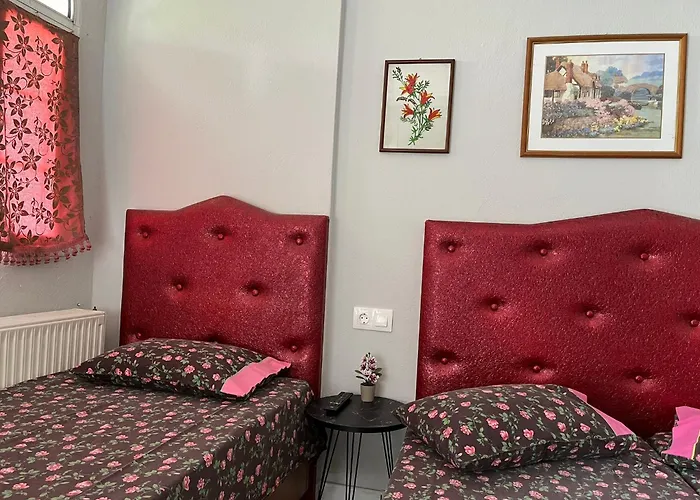 Hostel Elli With Free Private Parking *