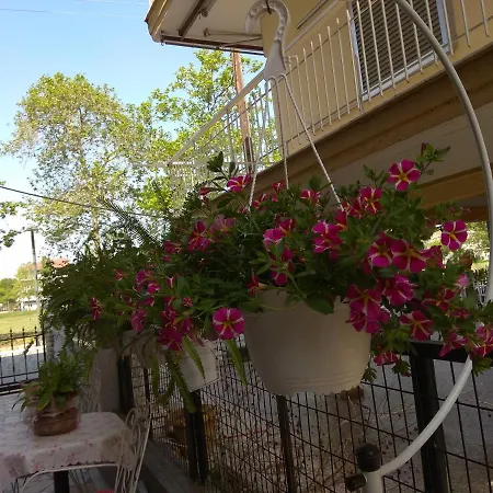 Elli Olympiakí Aktí