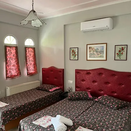 Hostel Elli